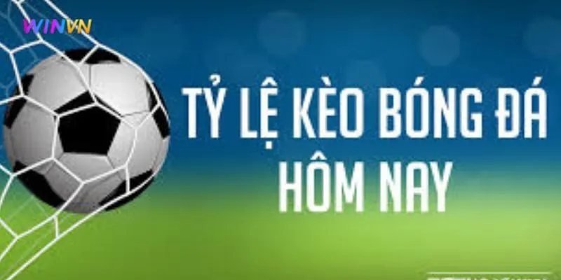 Minh họa cách tính thắng thua khi chơi kèo 0.25 trong cá cược bóng đá.