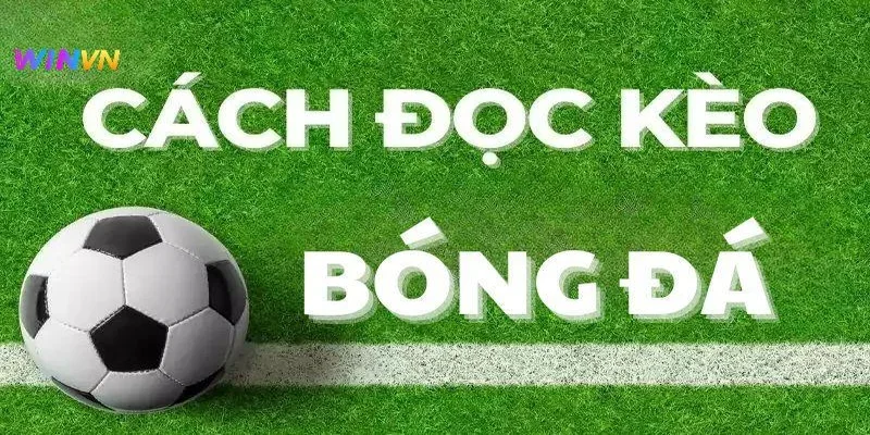 Hiểu cách đọc kèo bóng đá phổ biến nhất trên WINVN