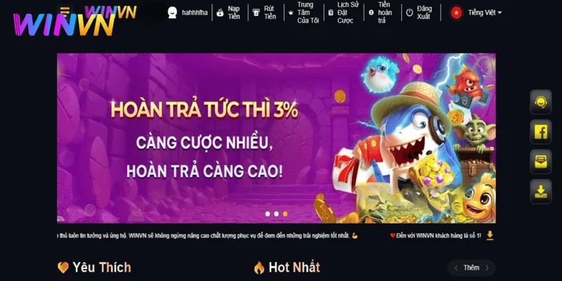 Quá trình thành lập và phát triển của nền tảng giải trí WINVN