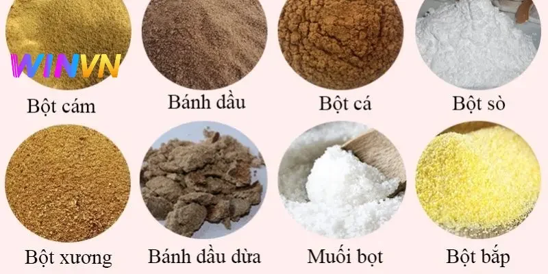 Chế độ ăn của gà đá cần đảm bảo cân bằng các nhóm chất